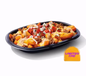 Shredded Beef Nacho Fries